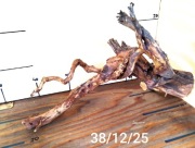 Korzeń do terrarium/akwarium. Suchy. Wstępnie oczyszczony