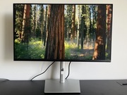 Monitor Dell P3222QE