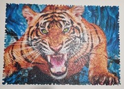 Crazy Shapes - Puzzle 600 Elementów o Szalonych Kształtach - Trefl