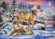 Puzzle 500 castorland cudowny świat wilków 