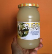 Polski prawdziwy miód akacjowy 2024 trawienie nerki stres pszczelarz PZP