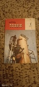 Młody technik 1971 nr2