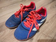 Halówki buty halowe adidas Predator 