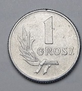 Moneta 1 grosz - 1949 rok