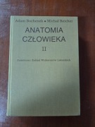 Anatomia człowieka Bochenek tom 2
