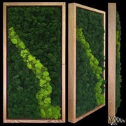 Obraz z mchem | Chrobotek | Panel Dekoracyjny wykazujący dźwiękochłonność