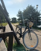 Rower miejski Goetze używany  ALU 7b 28 grafit mat