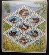 !!! ROSJA PTAKI -  PIĘKNA SERIA CZYSTE**!!! 