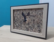 Sarna w zbożu - fotografia oprawiona