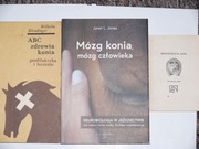 ABC zdrowia konia, Mózg konia mózg człowieka, Identyfikacja koni.