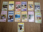 nr6 Karty Super zwierzaki podwójne MEMO/PIOTRUŚ