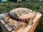 Tealights małe - świece z wosku pszczelego 20 SZT