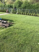 Ogródek działkowy Bytom