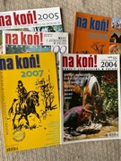 Inforamtor Jeździecki 