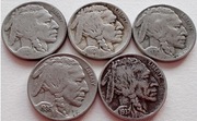 Zestaw 5 centów bizon 1923 r,29r,30 r,36 r.