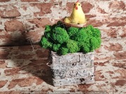 Wielkanocna dekoracja z mchu chrobotek