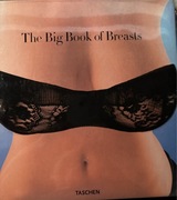 Książka album the big book of Breasts