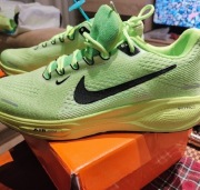 Buty do biegania Nike Pegasus.