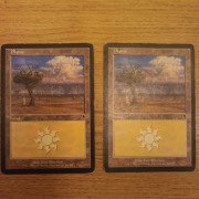 Plains (333) Odyssey MTG land