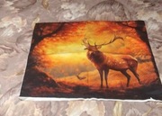 Poszewka na poduszkę 