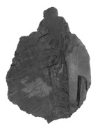 LIGNIT  DO AKWARIUM GL5