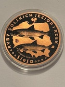 Ryba sieja. Miedź fi 32 mm. 2013 Gyges