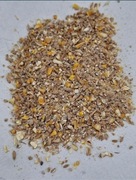 Ziarno śruta paszowa dla kur niosek i drobiu 