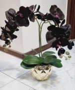 Storczyk sztuczny satynowy