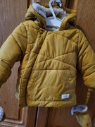 Kurteczka coccodrillo r62