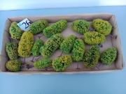 Drzewka rośliny na makiete skala HO TT .