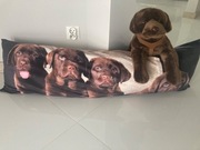 Maskotka poduszka na leżankę do pokoju labrador czekoladowy