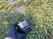 Sprzęgło rozrusznika bendiks yamaha tdr / dt 125 tzr