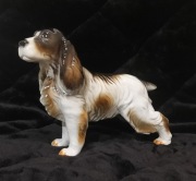 Neundorf piękna figura Spaniel cavalier king charles porcenalna XXwiek.