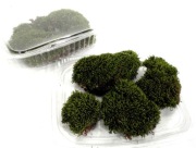 MECH DO TERRARIUM  M13