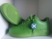 Nike Air Force 1 Pro-Tech WP FB8875 300, rozmiar 43
