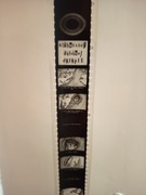 Mieszkańcy Dębowej dziupli Bajka czarnobiała NIEUŻYWANA na Rzutnik Ania prl