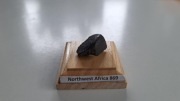 Meteoryty Northwest Africa 869 i Sikhote-Alin - z certyfikatami 