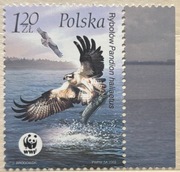 3932, ** czysty; Ptaki