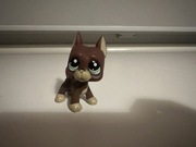 Littlest pet shop piesek