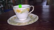 Trio Duchess Bone China made in England 348 Greensleeves (1081)