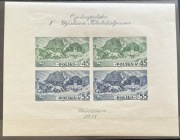 POLSKA Fi.blok5A*, 1938r - Ogólnopolska Wystawa Filatelistyczna w Warszawie