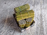 Sadzonki sztobry wierzby wiciowej 100 sztuk II gatunek