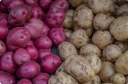 Ziemniaki czerwone bellarosa i żółte satina. Możliwy dowóz teren Zamościa.