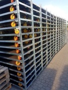 Wózek duński CC nowy wózek na kwiaty półka faktura