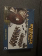 Dwarf the old world Wariors nowe