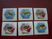 Tchad 2014 MNH Fauna Gady Żółwie