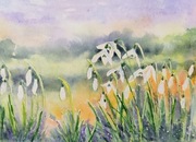 Akwarela 30x40 - "W kroplach porannej rosy"