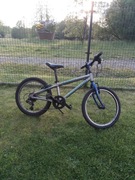 Rower Author Cosmic 20’’