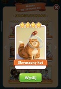 Skwaszony Kot / Coin master karty