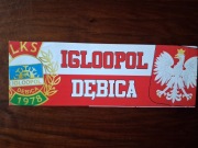 Vlepki Igloopol Dębica Polska